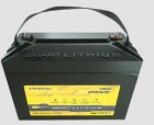 Sunbeam SMART LITHIUM DRIVE 48V 1440Wh (Eof 53.75-54.75V)
